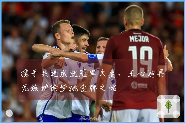 携手共进成就冠军夫妻，王心迪再无嫉妒徐梦桃金牌之忧