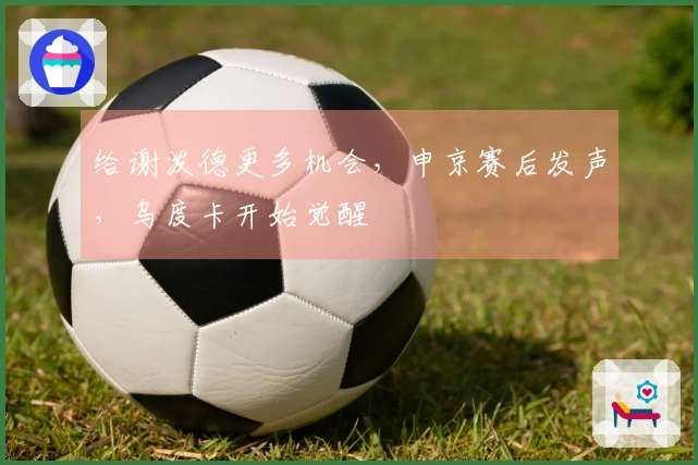 给谢泼德更多机会，申京赛后发声，乌度卡开始觉醒